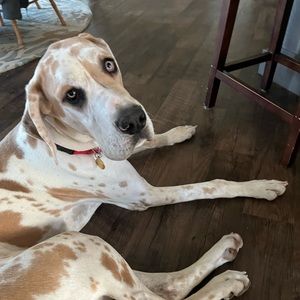 Meet your Posher, Natalie